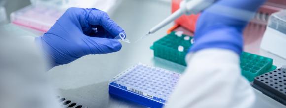 scientist pipetting