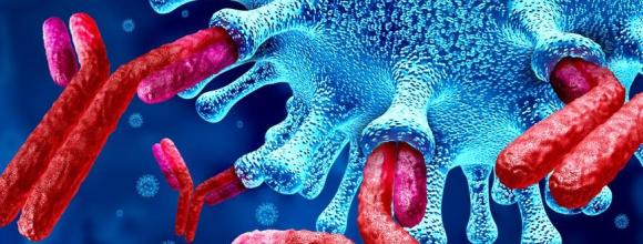 SARS-CoV-2 and antibodies